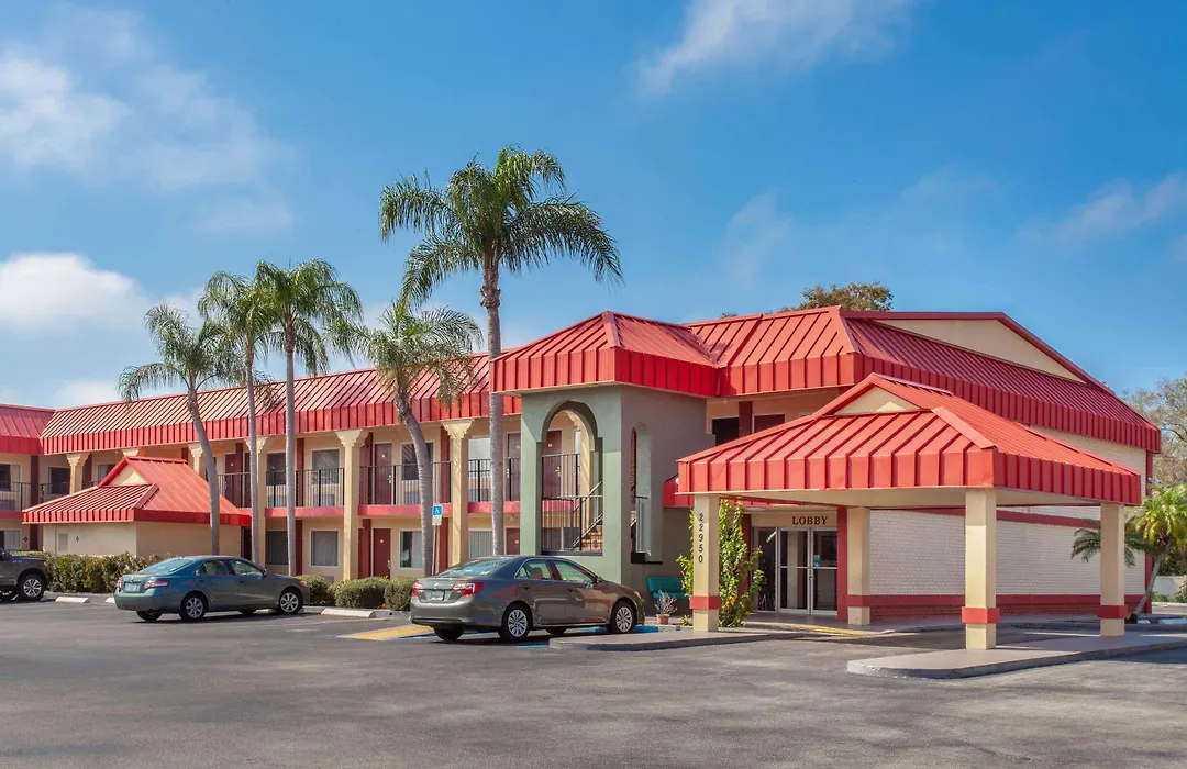 Super 8 By Wyndham Clearwater/Us Hwy 19 N-1